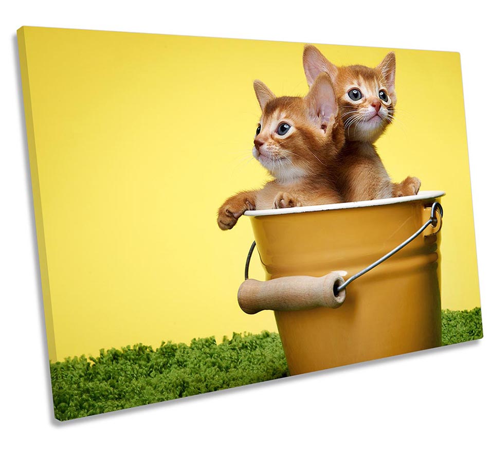 Cute Kitten Cats Bucket Yellow
