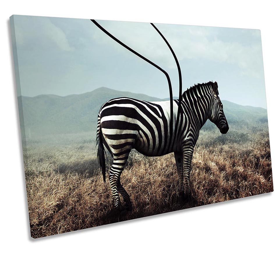 Surreal Zebra Stripes Multi-Coloured