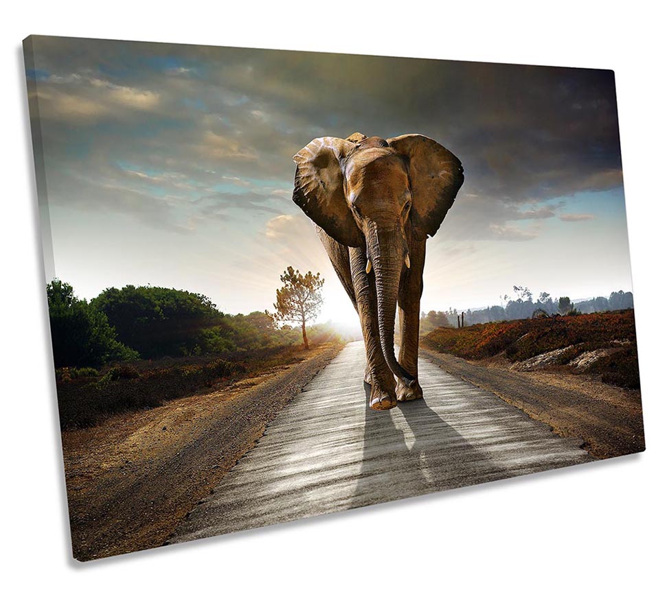 Elephant Road Grey