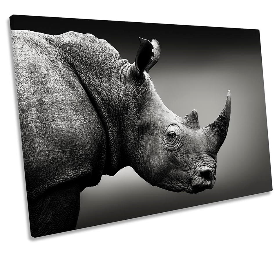 Rhino Wildlife Black & White