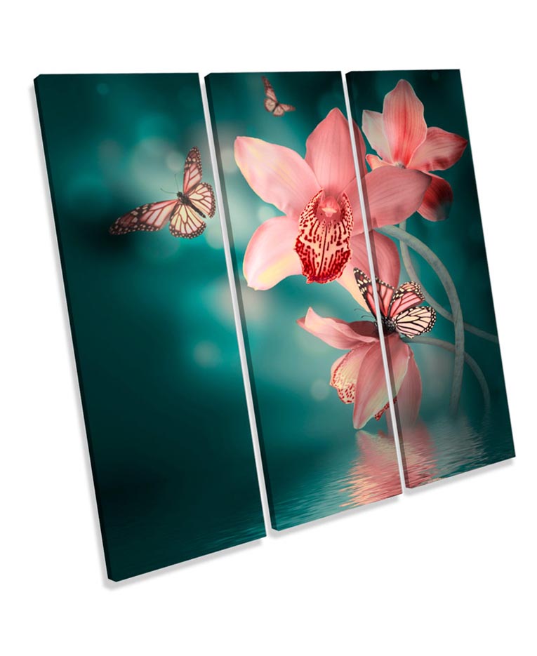 Butterfly Floral Flowers Orchids