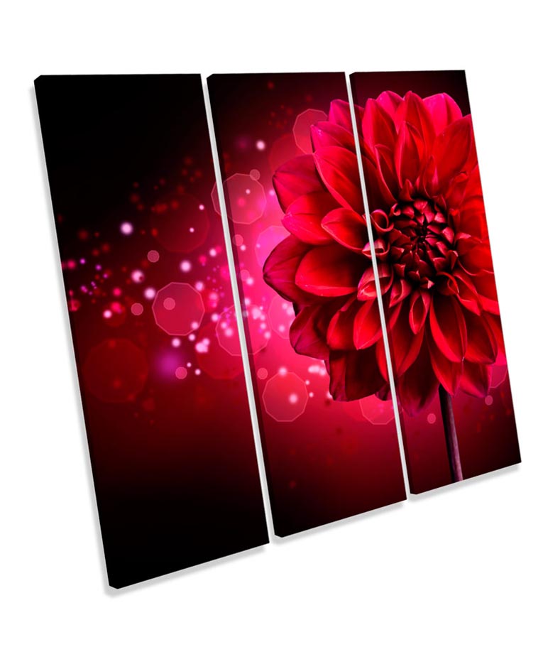 Abstract Floral Rose Flower