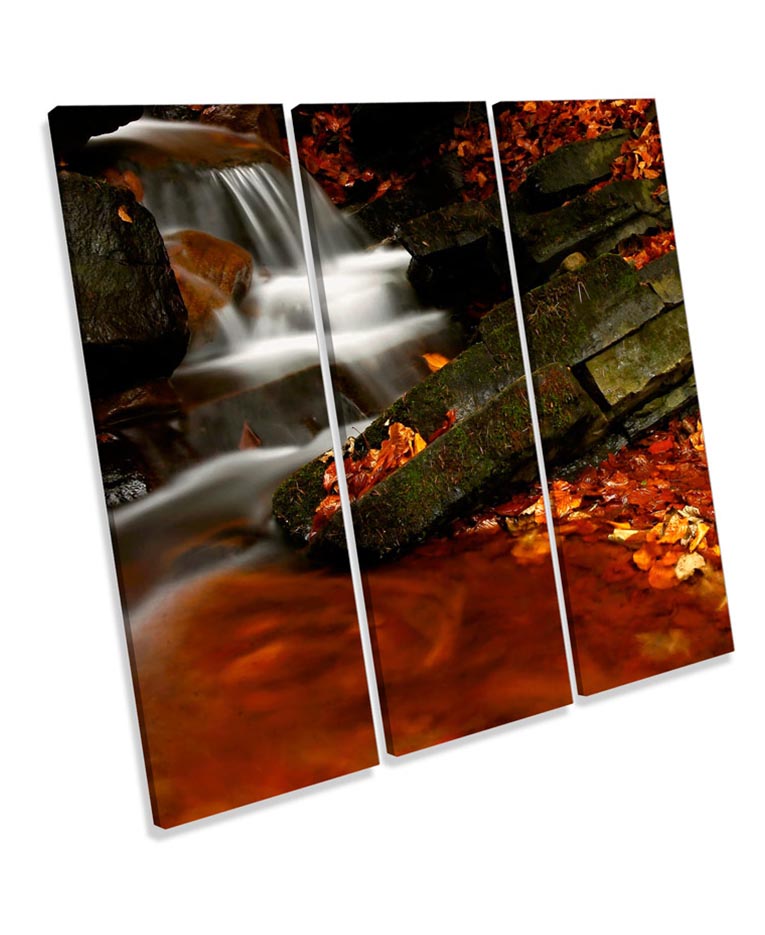 Autumn Stream Forest Landscapes