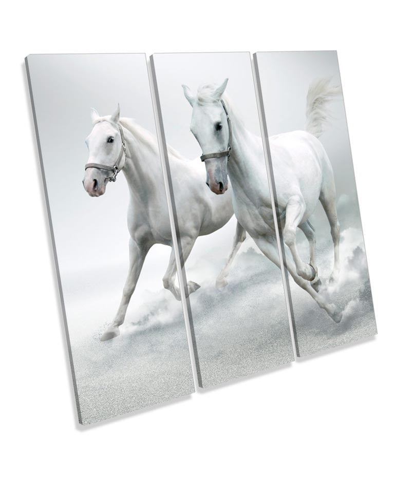 White Horses Stallion