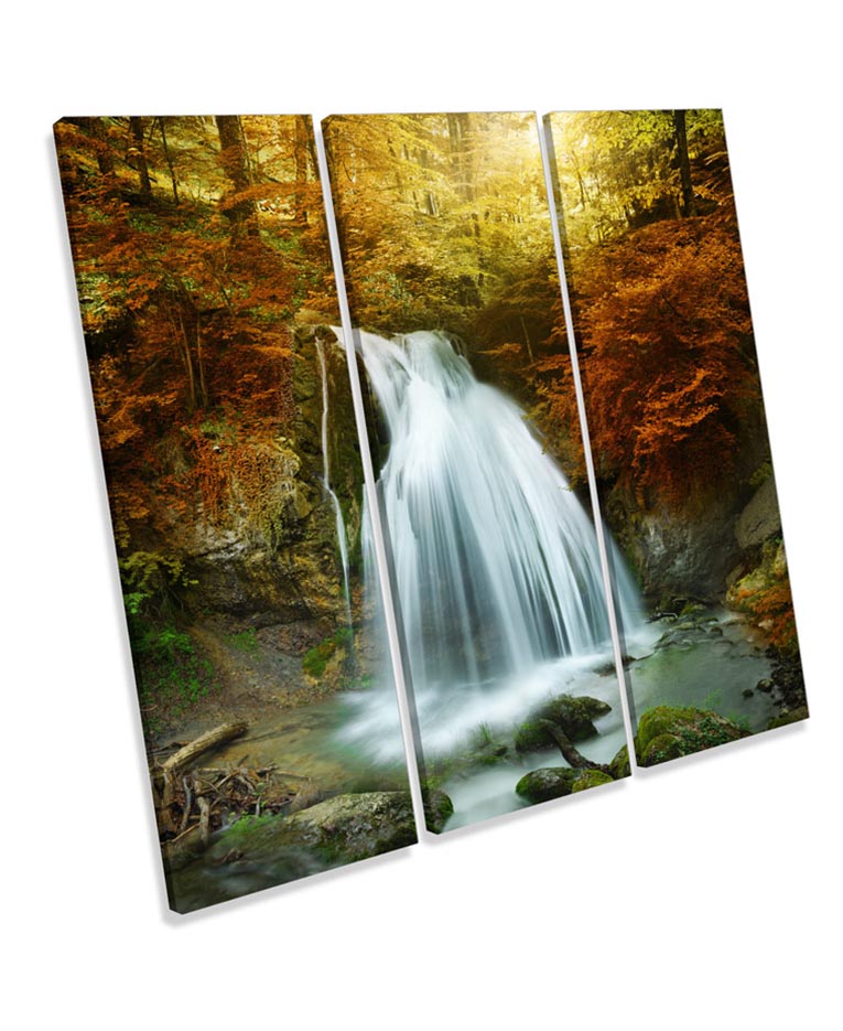 Autumn Forest Waterfall Landscape