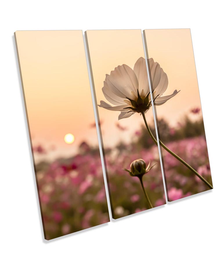 Flower Sunset Floral Landscape