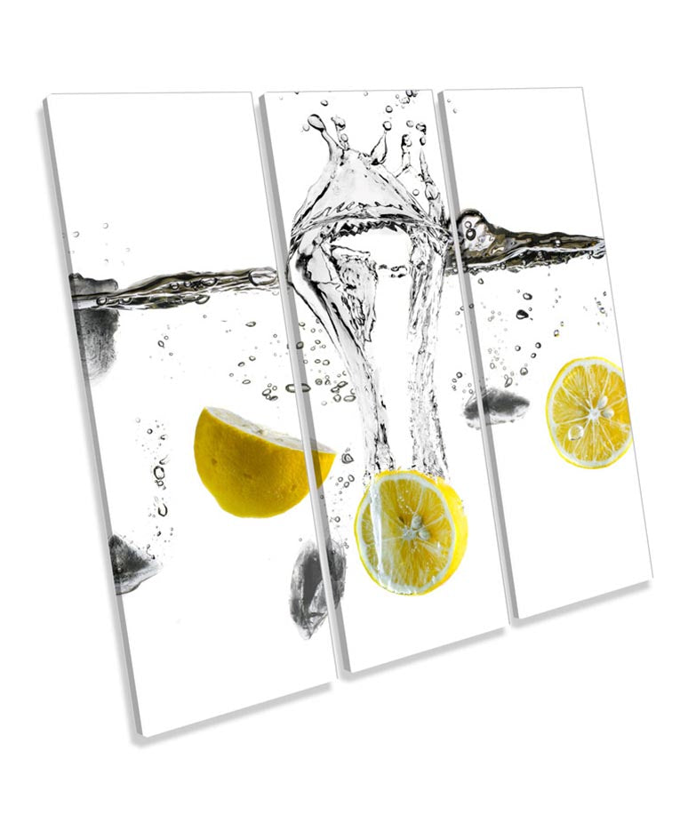 Lemon Splash Fruit Kitchen