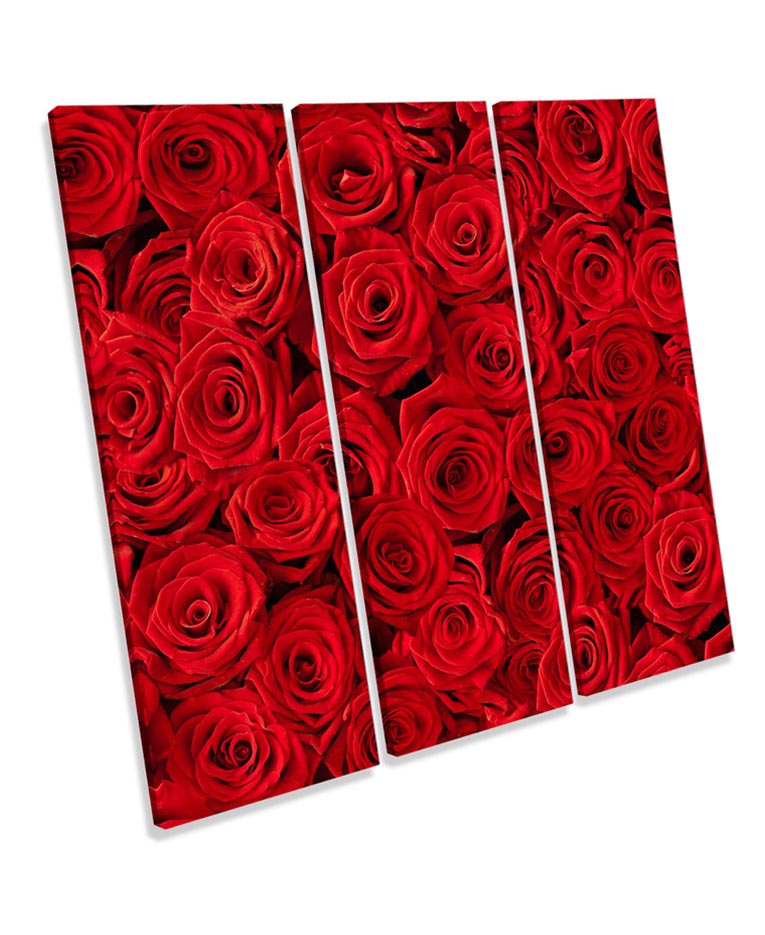 Red Rose Flowers Floral