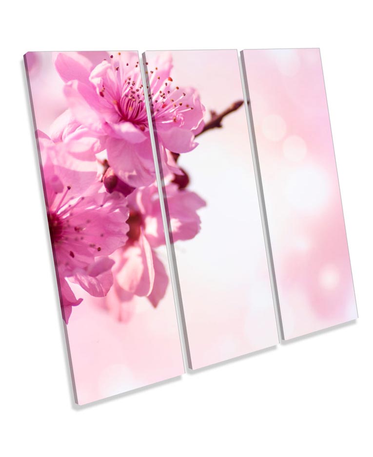 Cherry Blossom Floral Flower