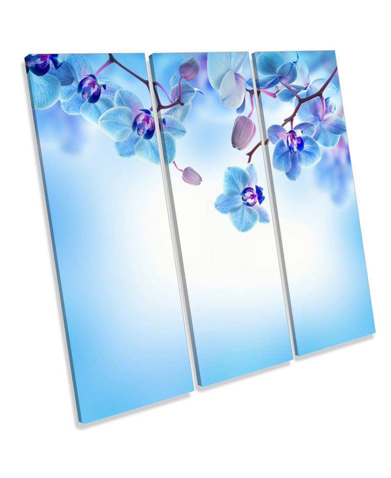 Blue Floral Flowers