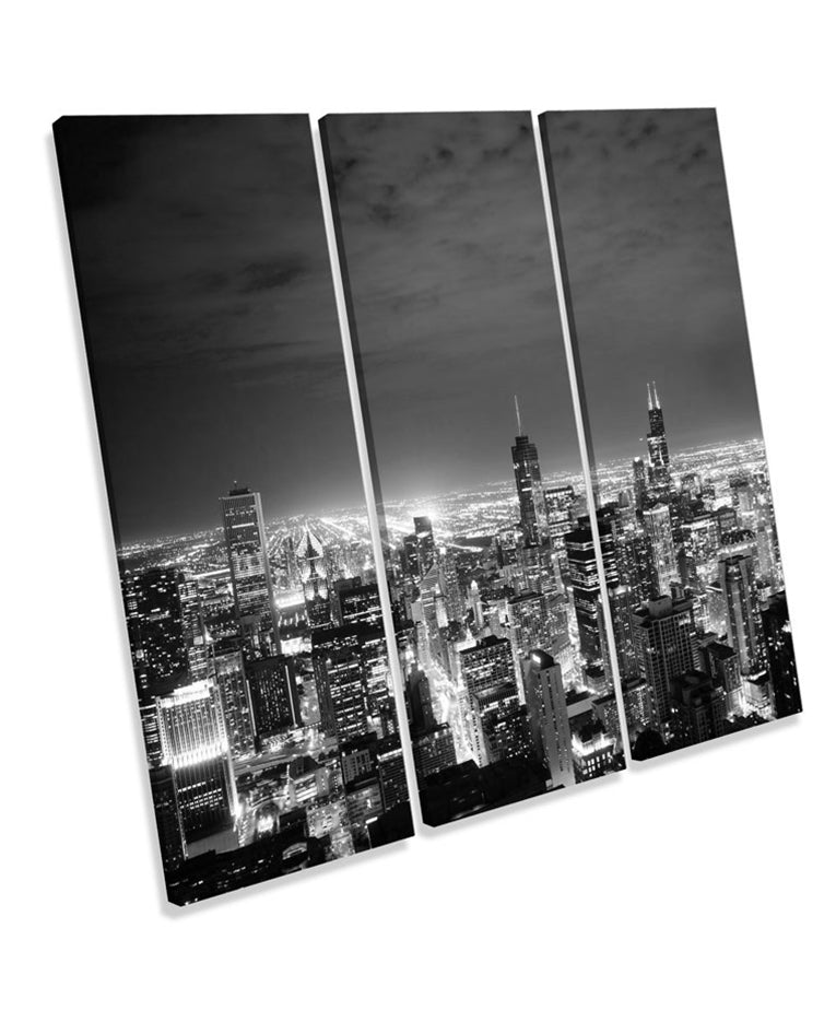 Chicago Skyline Cityscape B&W
