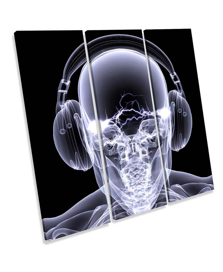 Skull Headphones DJ Music