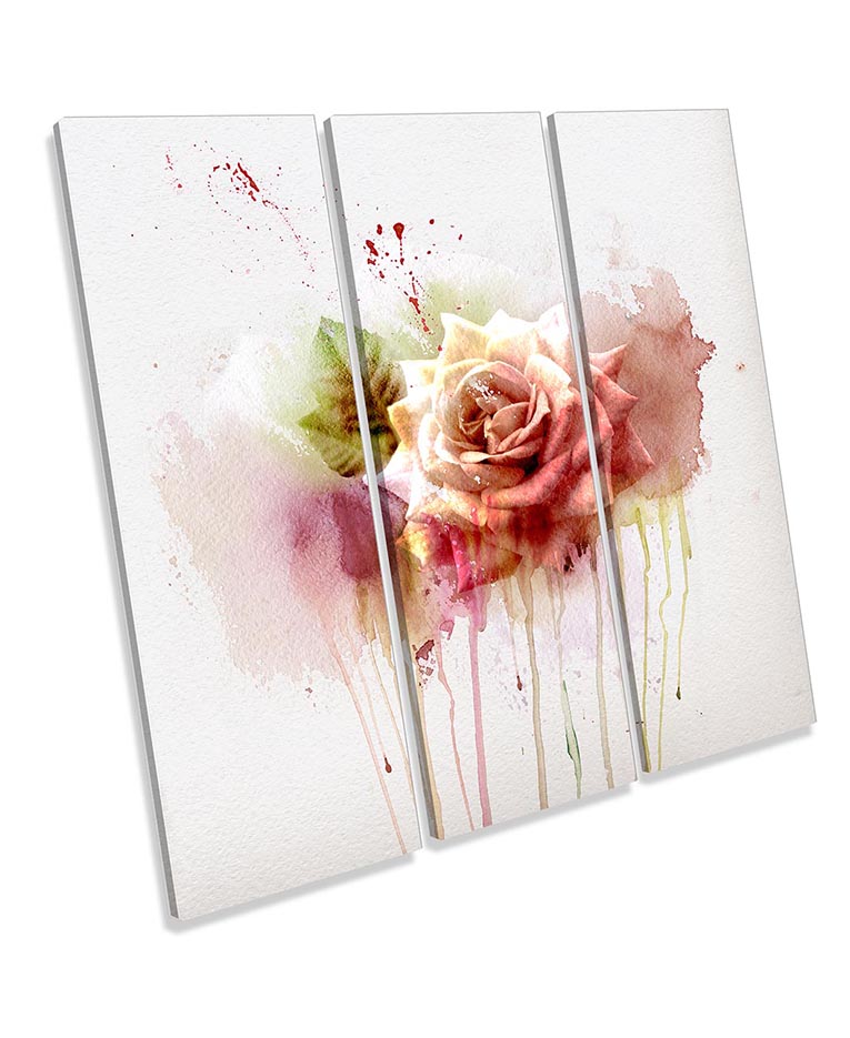 Abstract Floral Pink Rose Flower