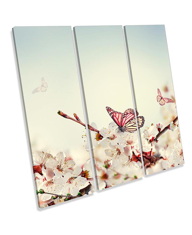 Butterfly Cream Floral Flowers