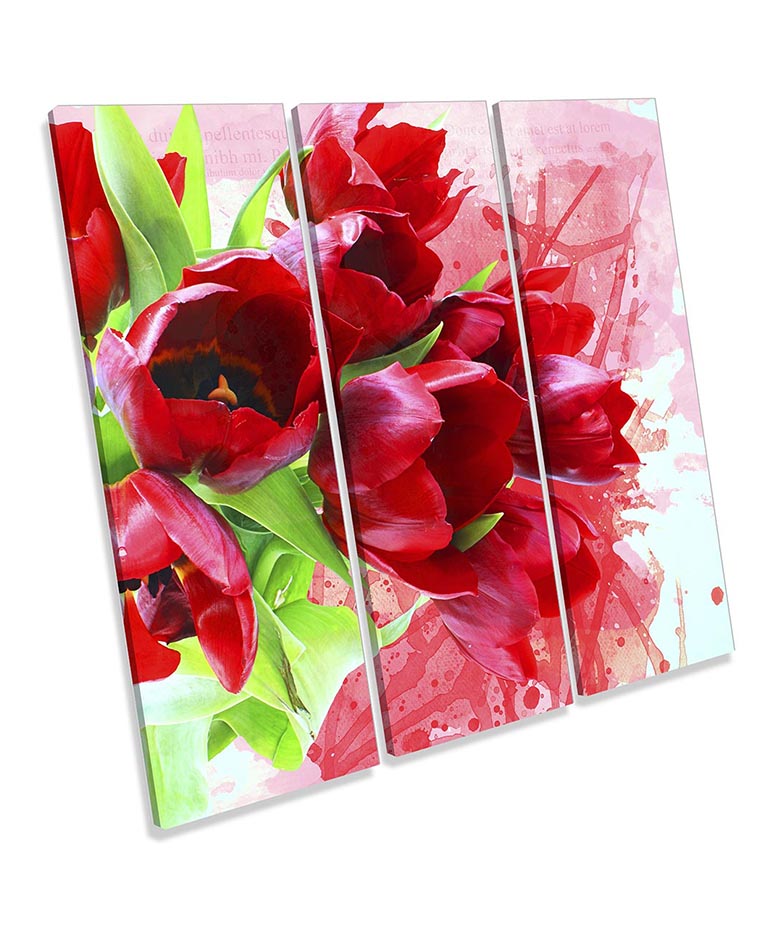 Grunge Tulips Flowers Red