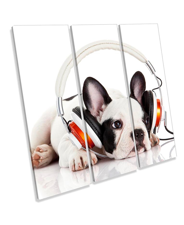 French Bulldog Puppy Music White
