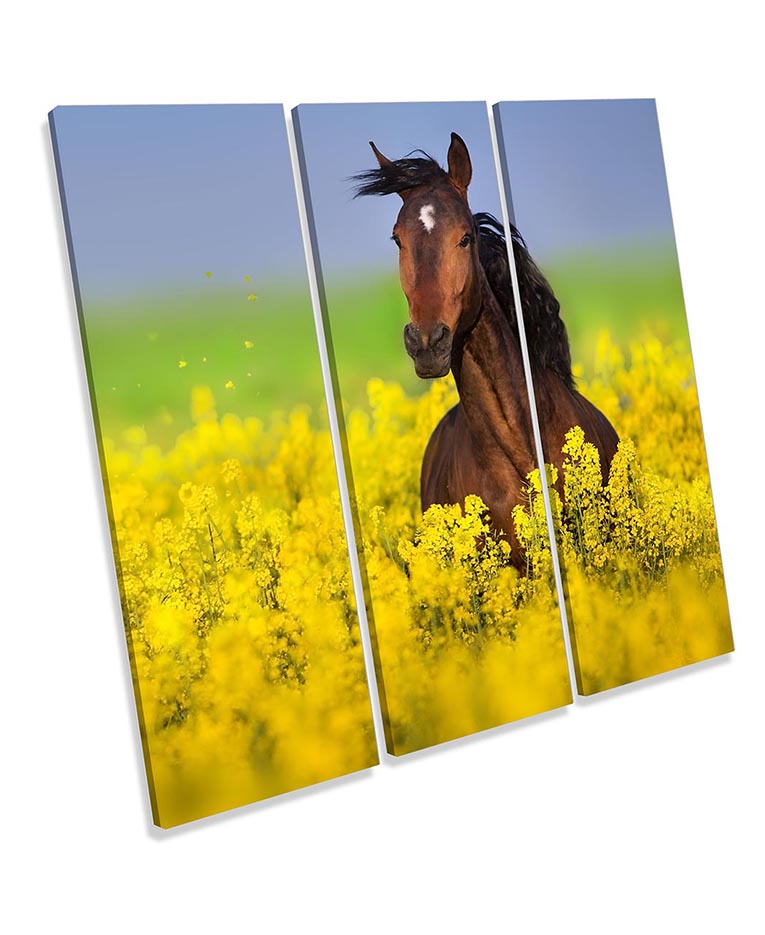 Horse Floral Field Yellow