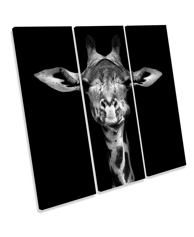 Giraffe Face Black & White