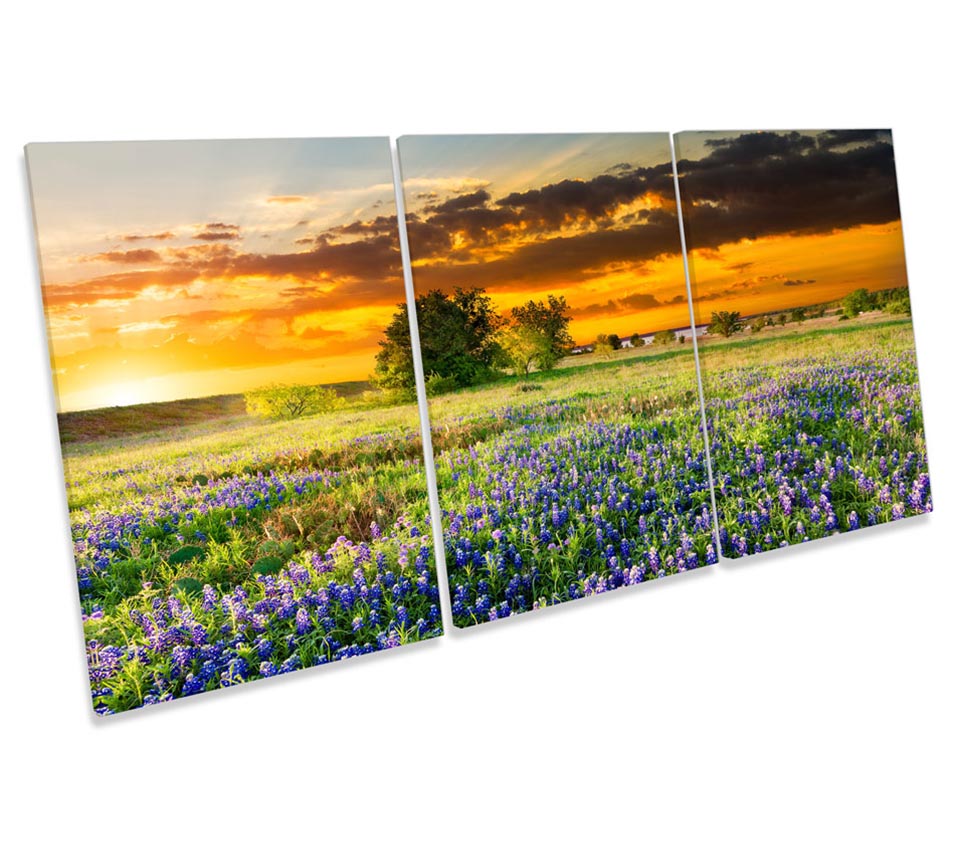 Landscape Floral Flower Sunset