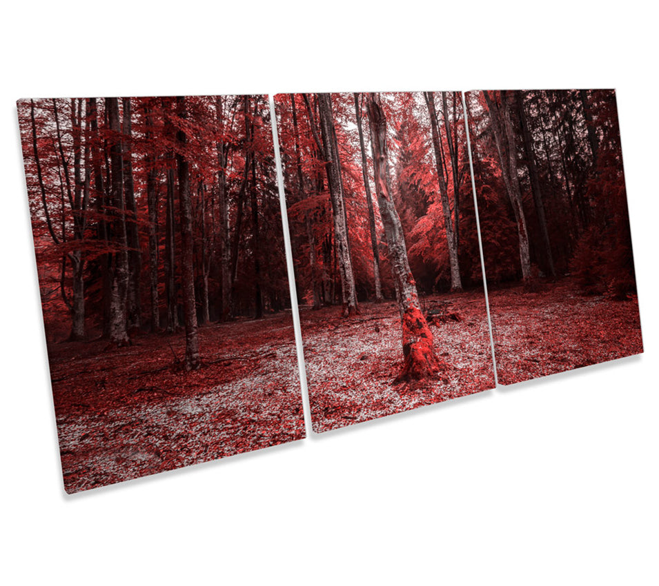 Red Forest Trees Landscape