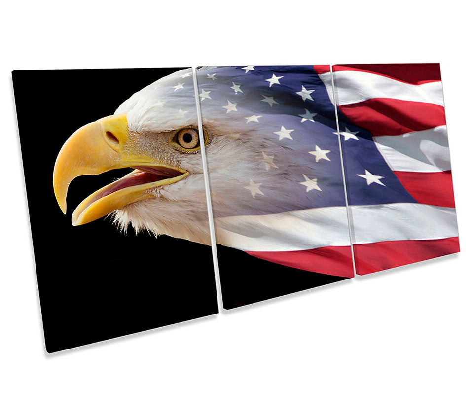 Eagle US Stars Stripes