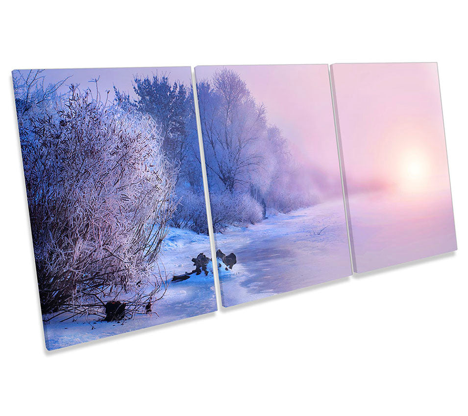 Frosty Trees Snow Forest Pink