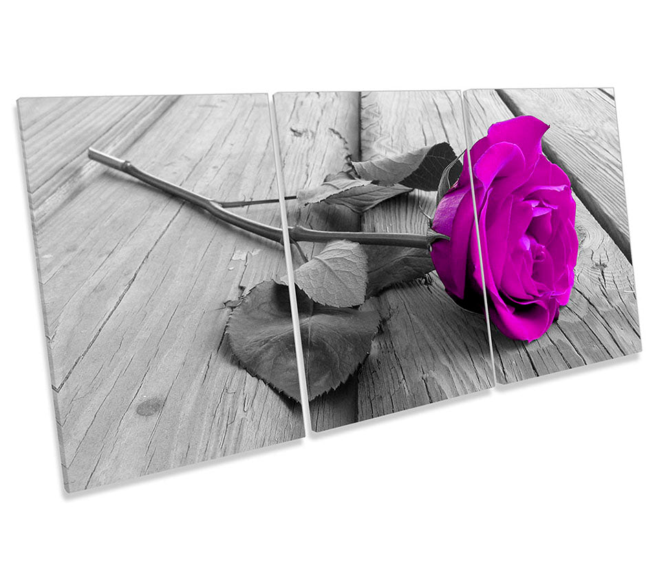 Rose Flower Floral Floorboard Pink