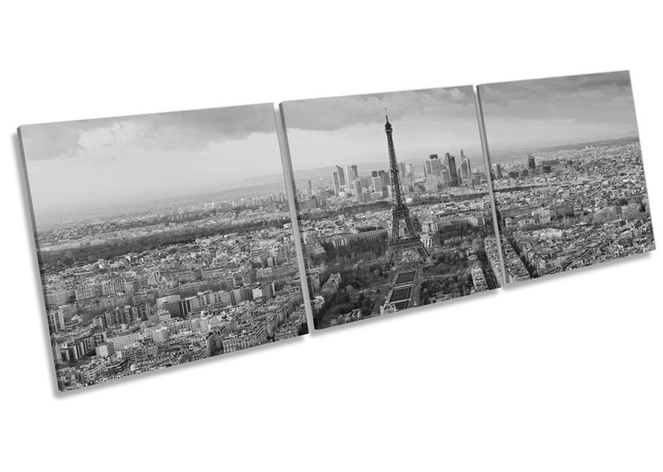 Paris Skyline Eiffel Tower City B&W