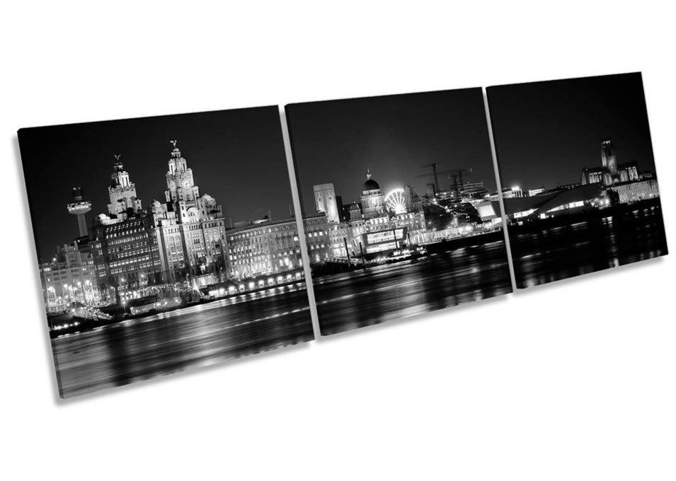 Liverpool City Skyline B&W