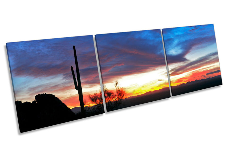 Arizona Sunset Landscape