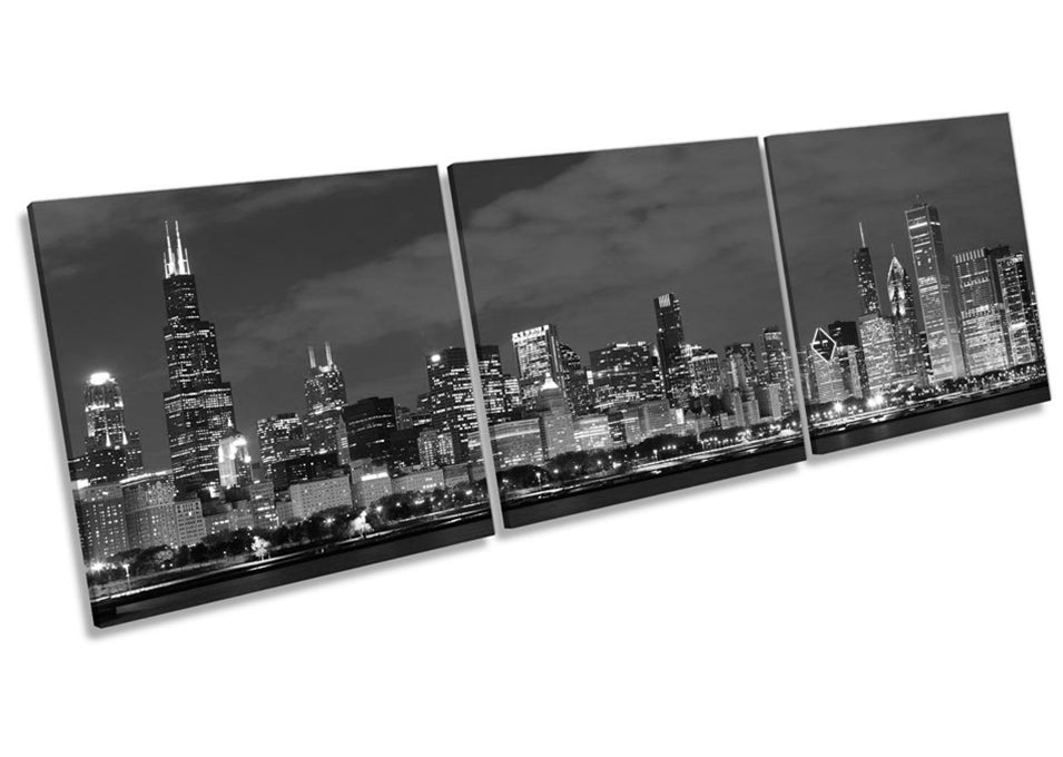 Chicago Cityscape Skyline B&W