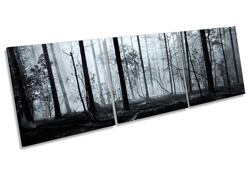Dark Forest Misty Landscape Trees