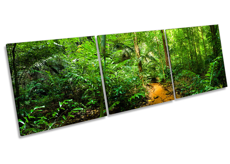 Green Jungle Rain Forest