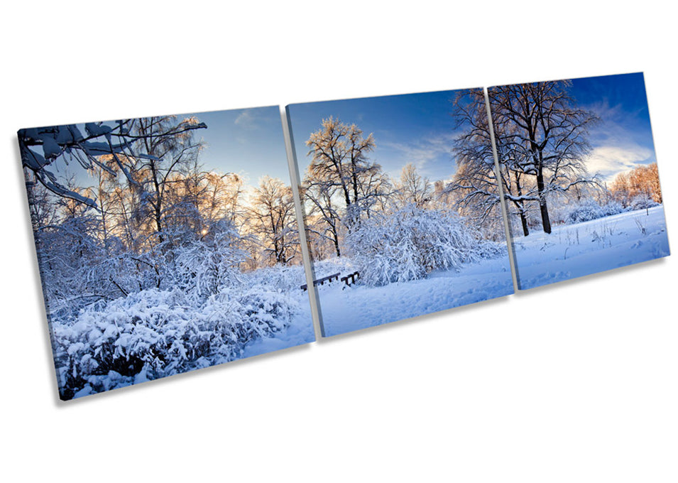 Winter Snow Scene Landscape
