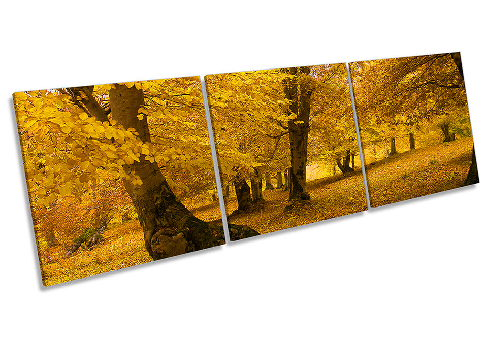 Yellow Landscape Trees Autumn