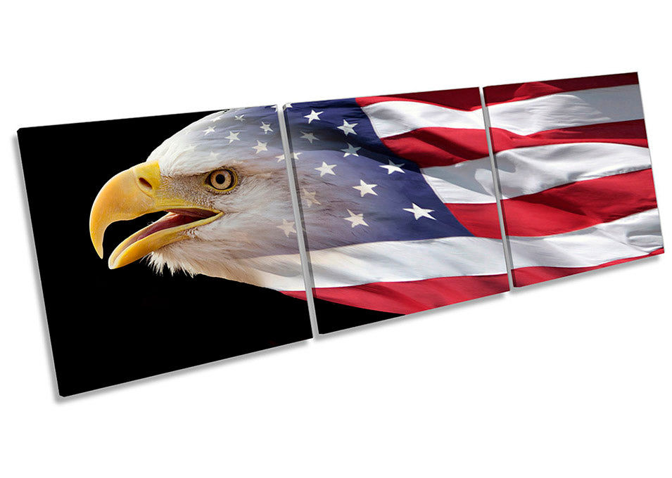 Eagle US Stars Stripes