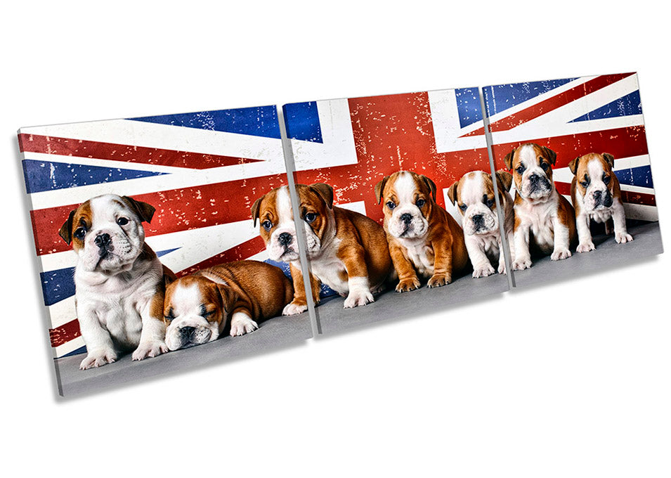 British Bulldogs Union Jack
