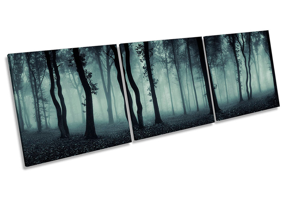 Dark Misty Forest Landscape