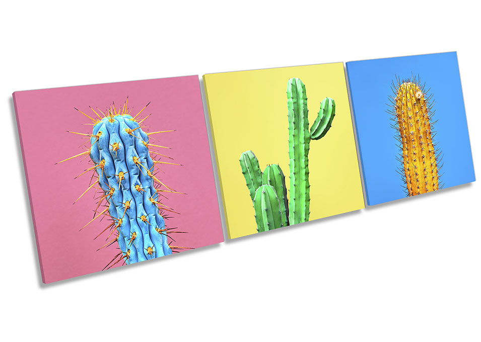 Minimalistic Cactus Floral Multi-Coloured