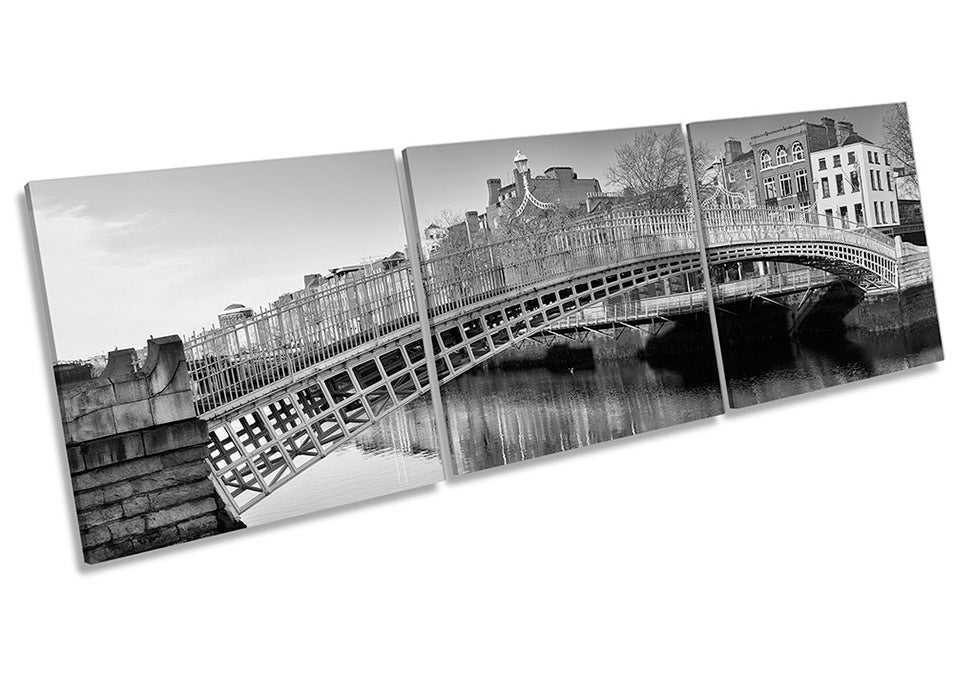 Ha'penny Bridge Dublin Black & White