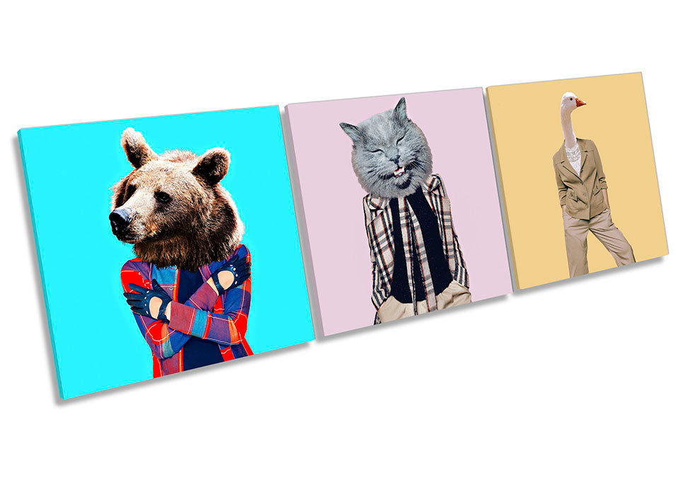 Animal Fashion Hipsters Multi-Coloured
