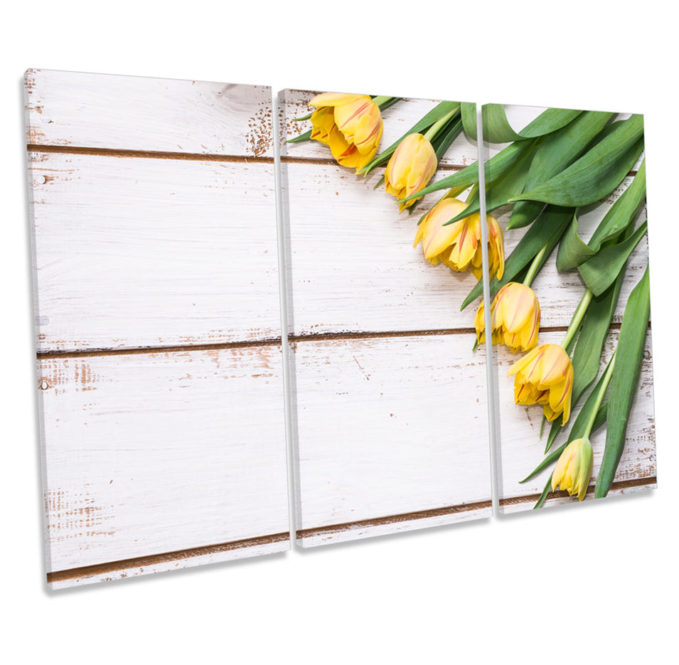 Tulip Flowers on Floorboards