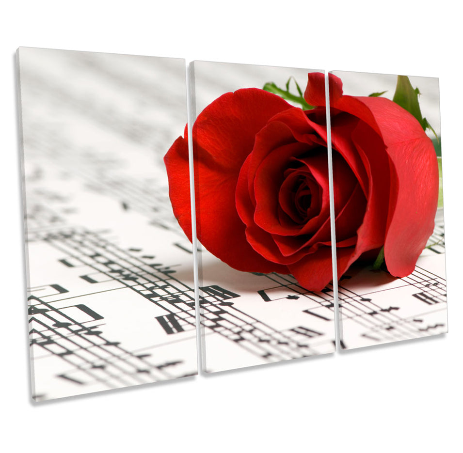 Rose Music Sheet Flower Floral
