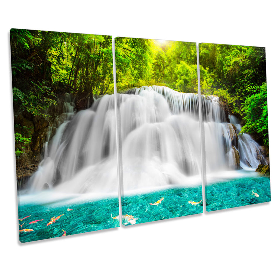 Tropical Rain Forest Waterfall Scene