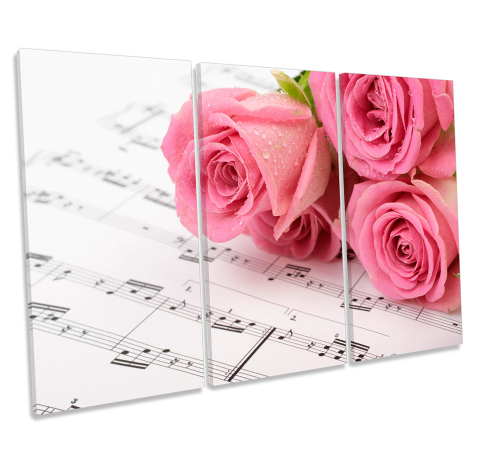 Pink Rose Flowers Music Notes