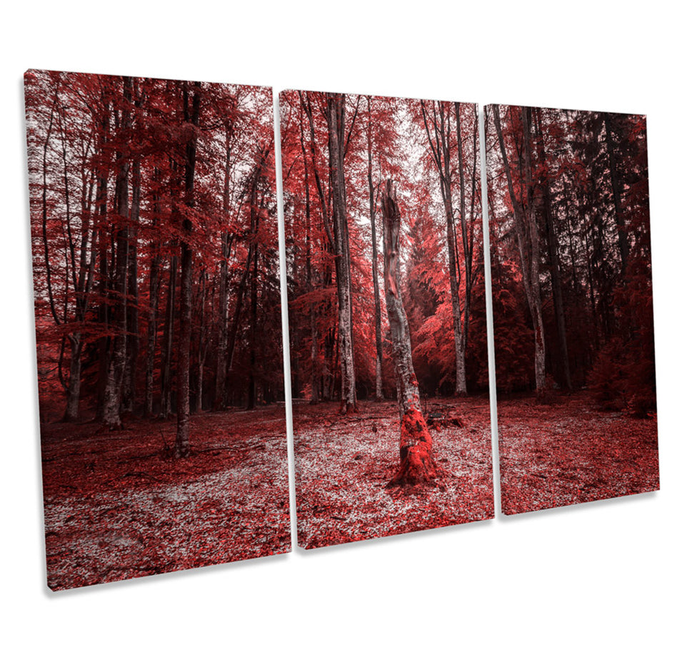 Red Forest Trees Landscape