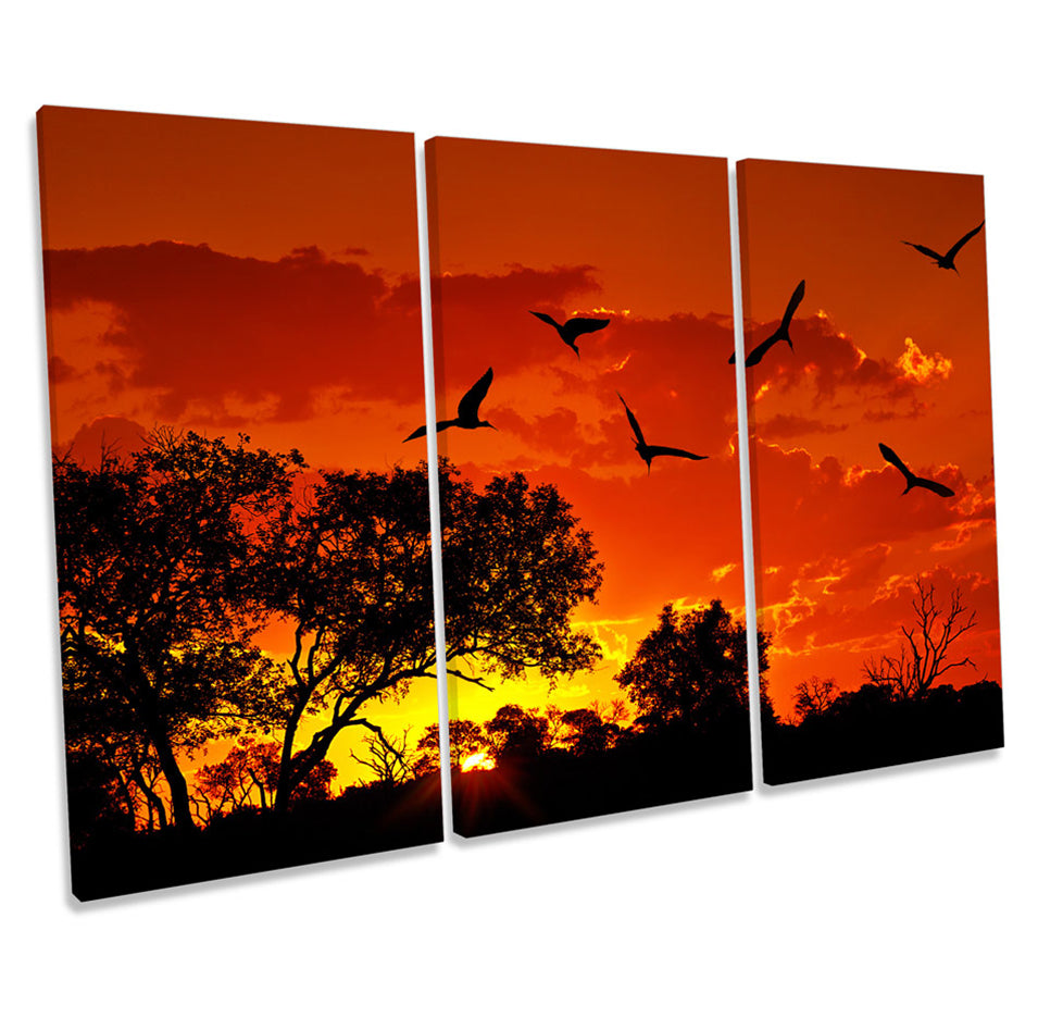 Africa Sunset Orange Birds