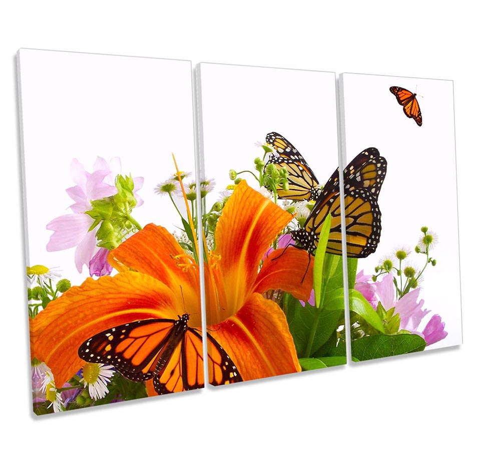 Floral Butterfly Flowers