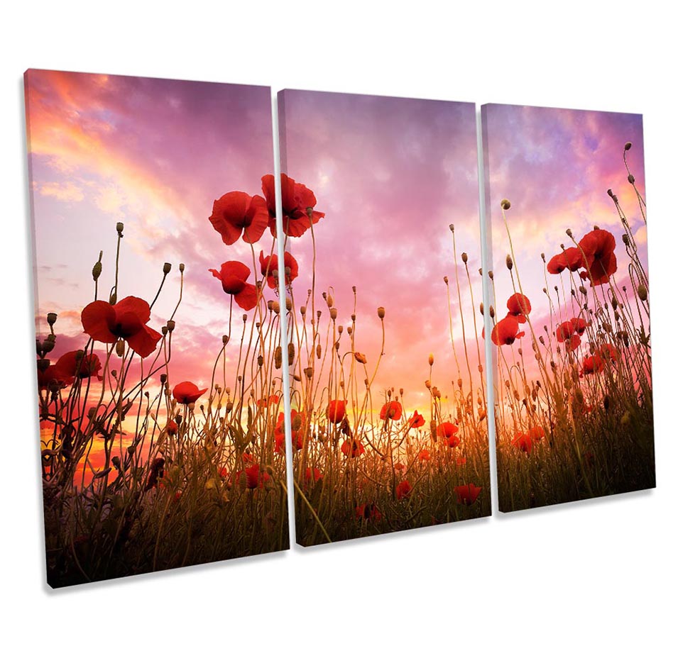 Red Poppies Sunset Floral