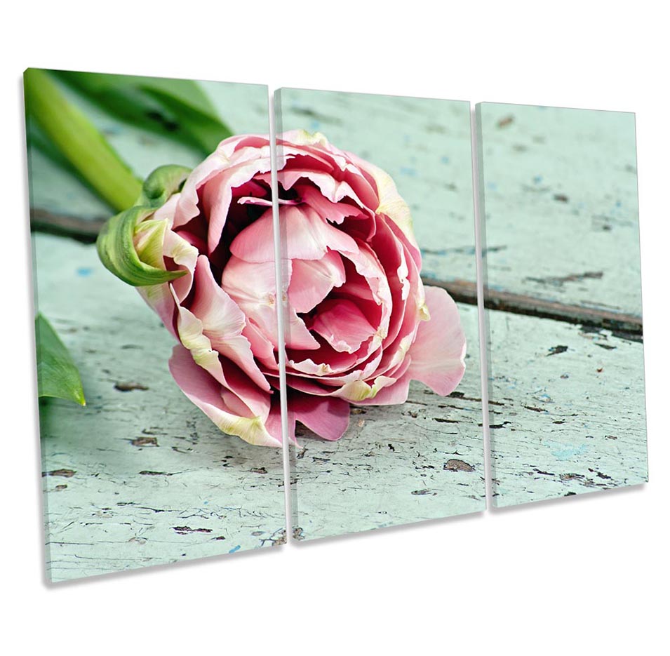 Pink Floral Flower Floorboard